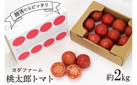 【2026年発送】 春作 トマト 桃太郎 約2kg [ヨダファーム 山梨県 中央市 21470974] とまと 野菜 やさい 2キロ 季節限定 期間限定 産地直送 山梨県産 【2026年4月上旬-6月下旬発送予定】