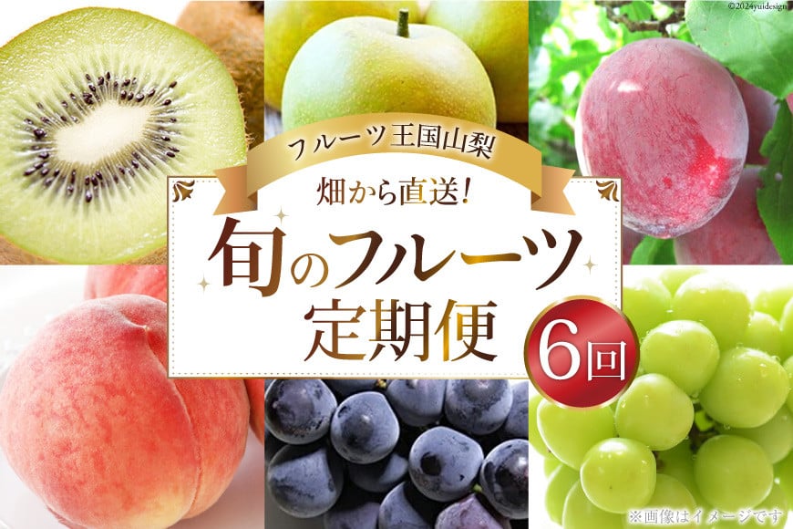 【先行受付】【6回 定期便】 フルーツ王国 山梨県産 6種セット / えべし フルーツ 果物 くだもの 貴陽 すもも もも 桃 梨 なし ぶどう ブドウ 葡萄 シャインマスカット キウイ 新鮮 果実 産地直送 山梨県 中央市 【2026年6月中旬-2027年1月下旬発送予定】