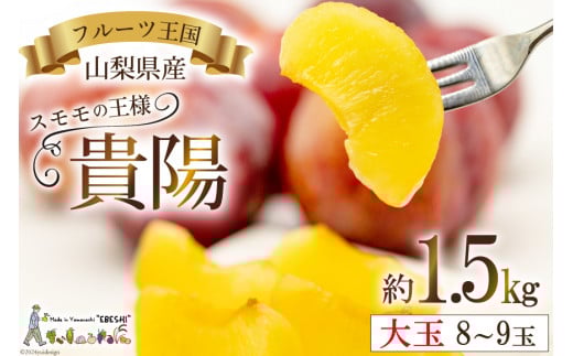 貴陽 (大玉) [株式会社えべし 山梨県 中央市 21470728] 果物 くだもの スモモ すもも プラム 李 もも 山梨県産 期間限定 季節限定 冷蔵 【2026年7月上旬-8月上旬発送予定】