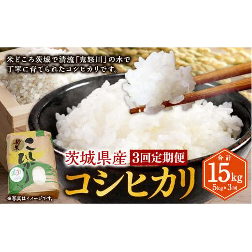 【3ヶ月定期便】コシヒカリ 5kg 計15kg 米 お米 ご飯 ごはん こしひかり 白米 精米 茨城県 守谷市