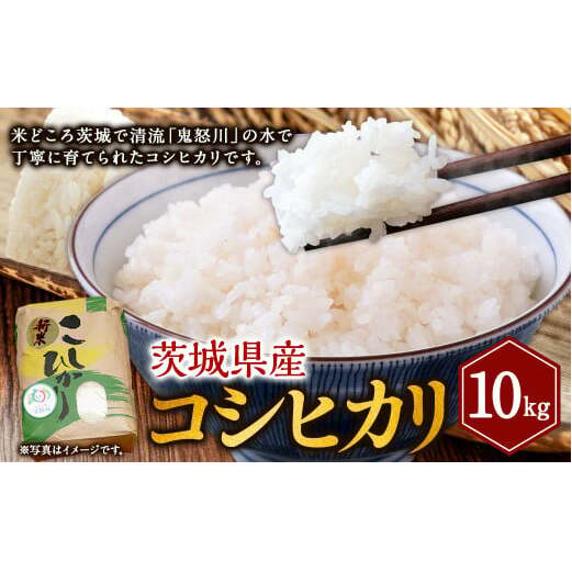 コシヒカリ 10kg 米 お米 ご飯 ごはん こしひかり 白米 精米 茨城県 守谷市