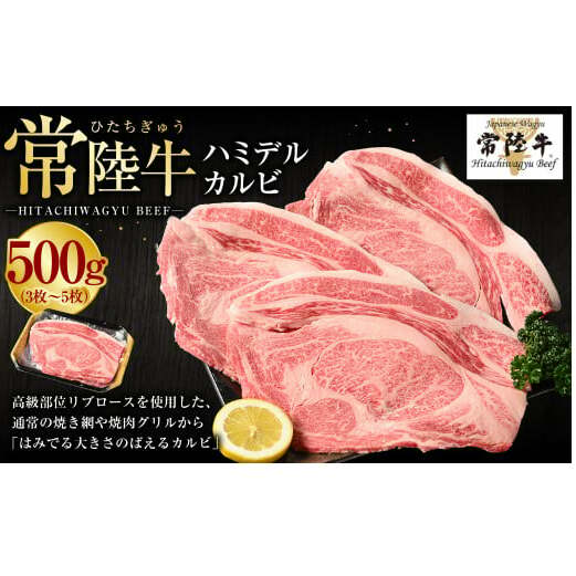 【常陸牛】ハミデルカルビ500g(3~5枚)(茨城県共通返礼品 茨城県産)