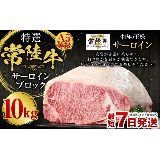 【特選】常陸牛(ひたちぎゅう)A5等級 サーロインブロック 10kg(茨城県共通返礼品 茨城県産)