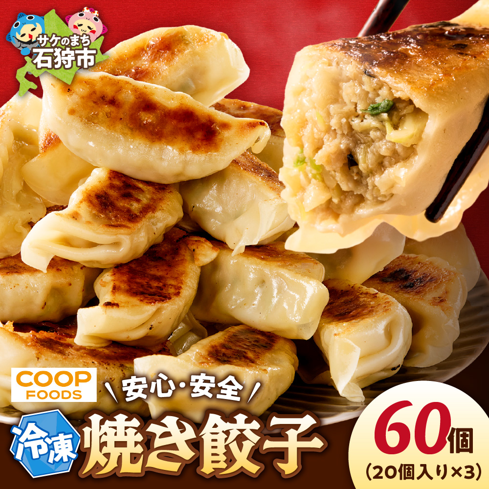 ジューシー焼き餃子60個_is074-001-000