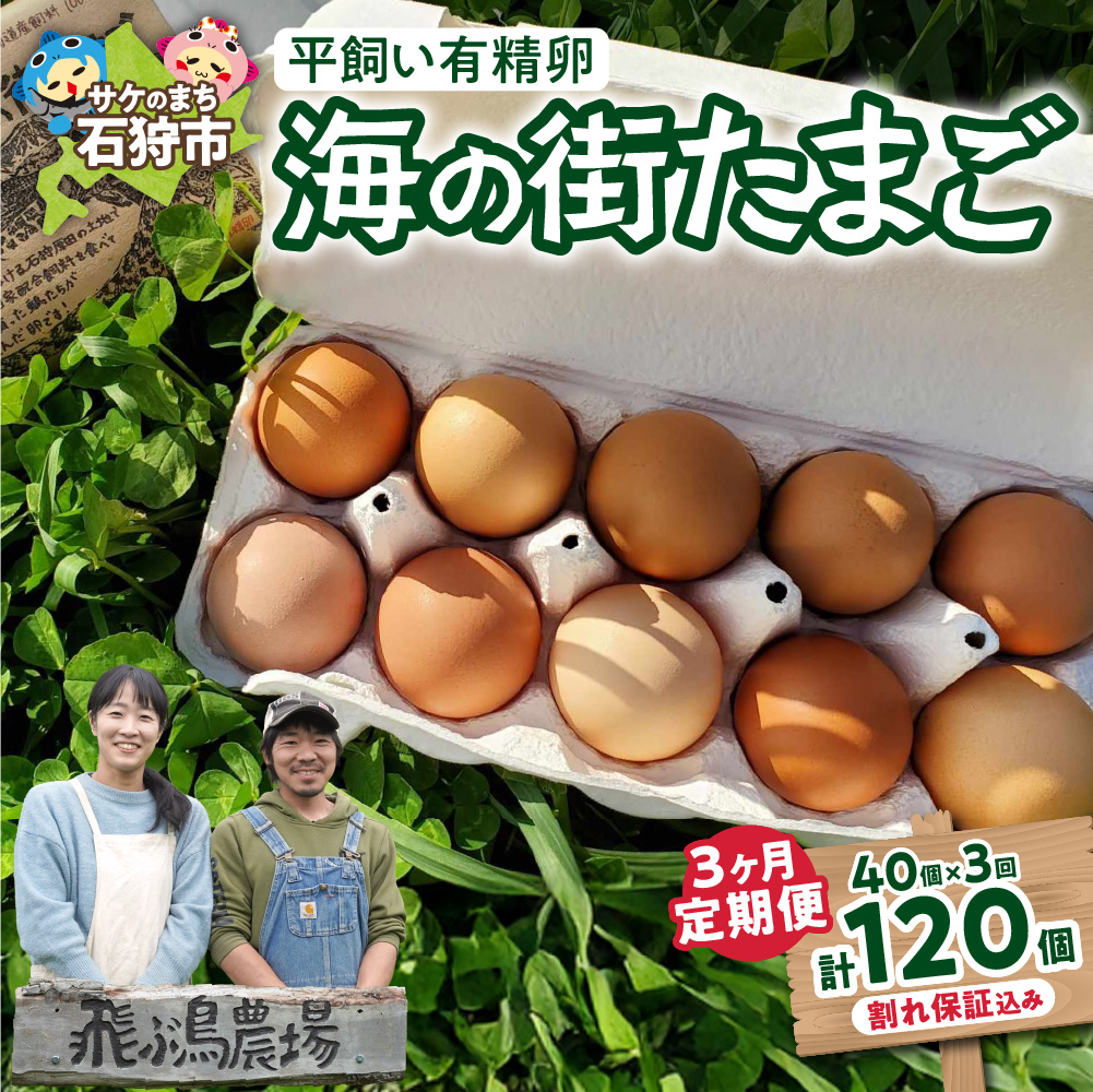 [定期便]飛ぶ鳥農場 海の街たまご 40個×3か月_is085-003-999