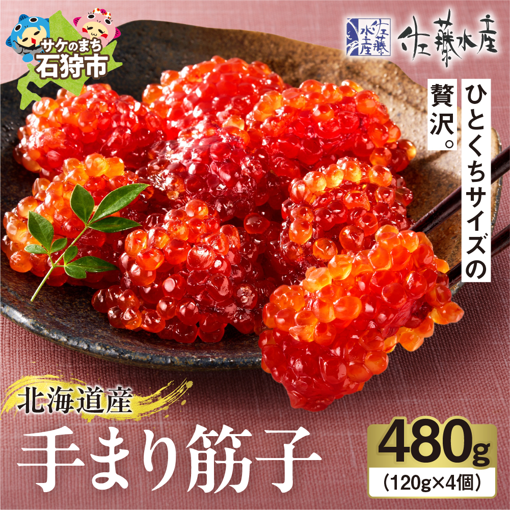 佐藤水産 手まり筋子 480g (120g×4)_is001-086-000