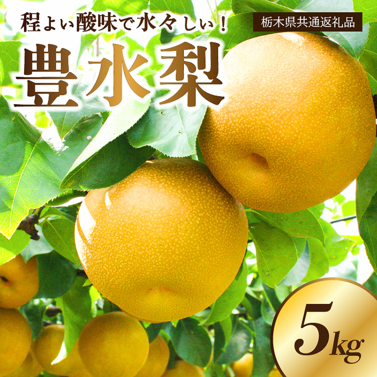 【栃木県共通返礼品】 JAなすの産 梨 豊水 5kg〔P-390〕※北海道・沖縄・離島への配送不可 ※2025年9月上旬~9月下旬頃に順次発送予定