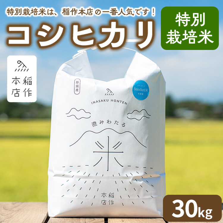 【令和7年産】特別栽培米 コシヒカリ 30kg 〔P-292〕 | こしひかり 米 お米 コメ こめ 精米 濃厚 甘い 国産 那須 栃木県 那須町 ※2025年10月下旬頃より順次発送予定