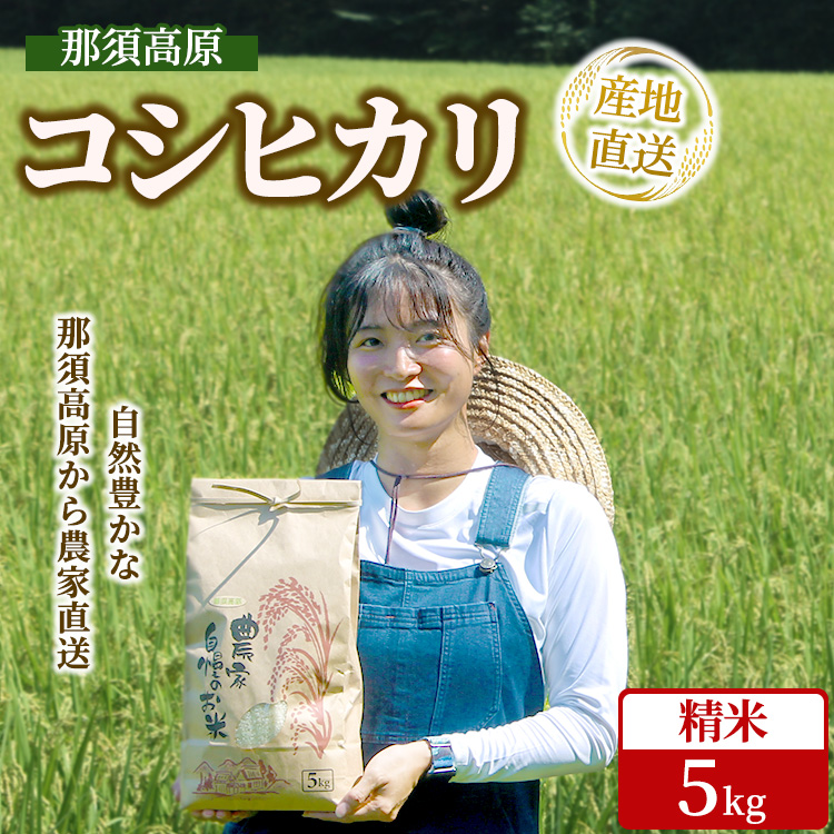 那須高原 令和7年産 コシヒカリ 5キロ 精米〔P-401〕 | 新米 白米 5kg こしひかり 米 こめ コメ ごはん ご飯 産地直送 期間限定 季節限定 栃木県 那須町 ※2025年10月中旬~2026年2月下旬頃に順次発送予定