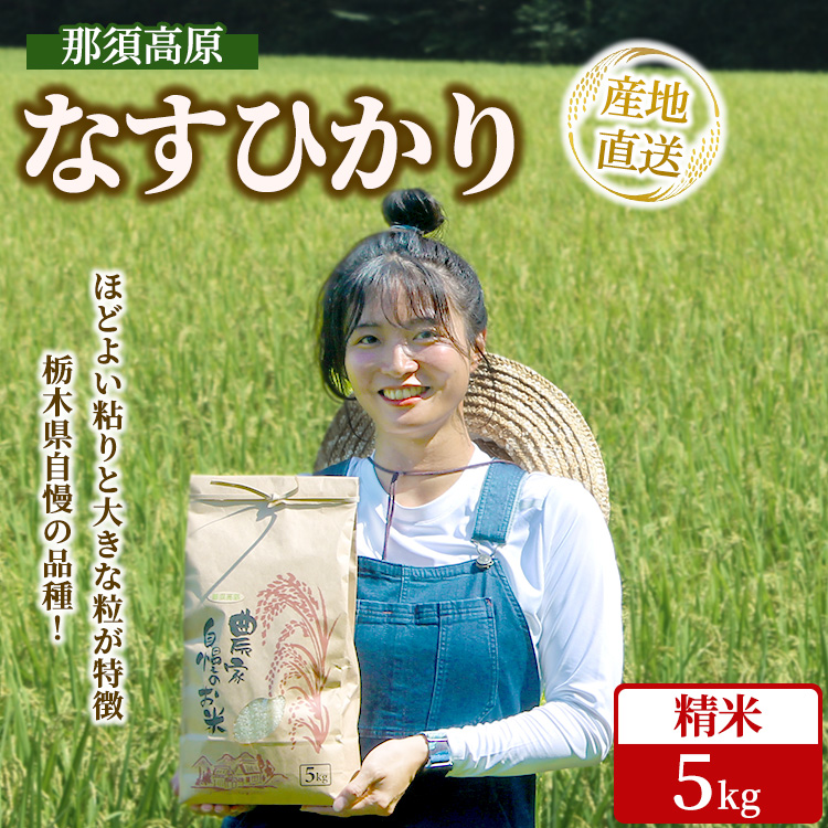 那須高原 令和7年産 なすひかり 5キロ 精米〔P-403〕 | 新米 白米 5kg ナスヒカリ 米 こめ コメ ごはん ご飯 産地直送 期間限定 季節限定 栃木県 那須町 ※2025年10月中旬~2026年2月下旬頃に順次発送予定