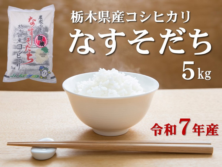 令和7年産 栃木県産 コシヒカリ なすそだち 5kg JAなすの産地直送【大田原市・那須塩原市・那須町共通返礼品】〔P-237〕| 米 コメ こめ 白米 精米 新米 ※離島への配送不可