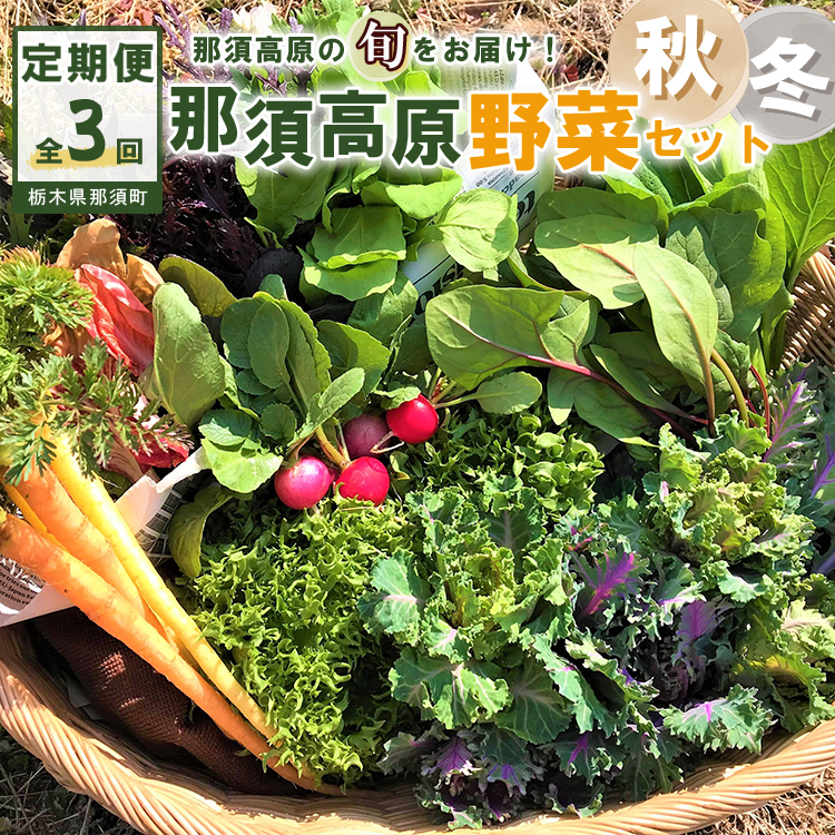 【3か月定期便】那須ブランド 秋冬の那須高原野菜セット ｜ 野菜 お野菜 新鮮 詰め合わせ やさい みずみずしい 美味しい 自然 栃木県 那須町〔D-59〕 ※北海道・沖縄・離島への配送不可 ※2026年9月上旬～11月下旬頃に順次発送予定