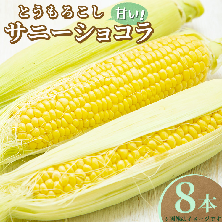 【先行受付】とうもろこし サニーショコラ 8本〔B-101〕 | トウモロコシ コーン 先行予約 数量 限定 生 甘い 野菜 やさい 那須 栃木県 那須町 ※2025年8月上旬頃より順次発送予定