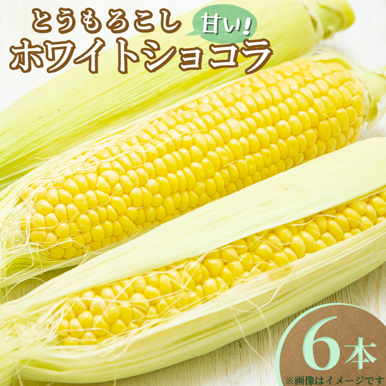 【先行受付】とうもろこし ホワイトショコラ 6本〔B-102〕 | トウモロコシ コーン 先行予約 数量 限定 生 甘い 野菜 やさい 那須 栃木県 那須町 ※2025年8月上旬頃より順次発送予定