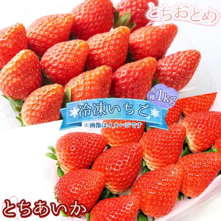 《選べる品種!》とちおとめ とちあいか 冷凍いちご 1kg〔B-103〕 | いちご イチゴ 苺 フルーツ 果物 デザート ストロベリー 冷凍 ジャム スムージー フローズン 那須 栃木県 那須町