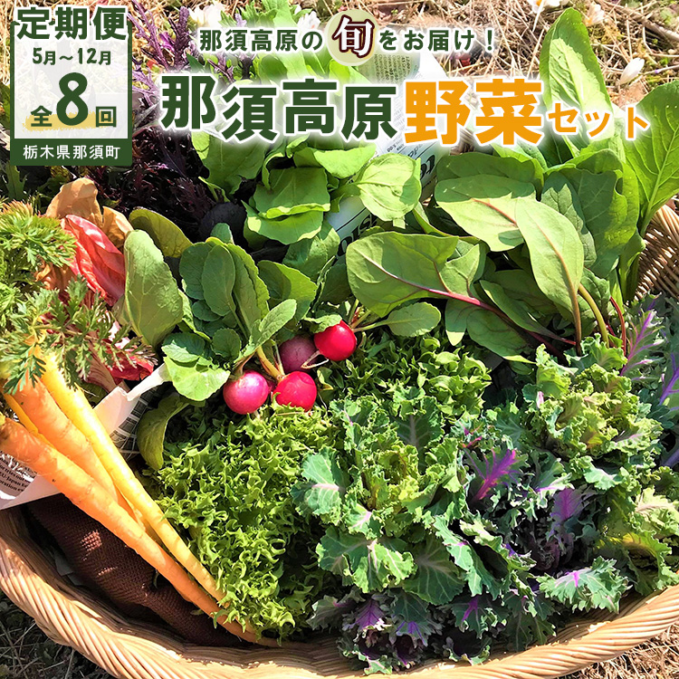 【8か月定期便】那須ブランド 那須高原野菜セット(月1回/5月~12月/全8回)| 野菜 お野菜 新鮮 詰め合わせ やさい みずみずしい 美味しい 自然 栃木県 那須町〔P-65〕※北海道・沖縄・離島への配送不可 ※2026年5月上旬~12月下旬頃に順次発送予定