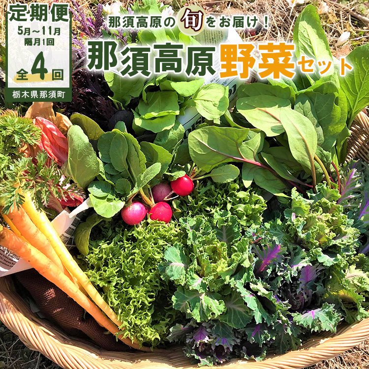 【全4回定期便】那須ブランド 那須高原野菜セット(隔月1回/5月~11月)| 野菜 お野菜 新鮮 詰め合わせ やさい みずみずしい 美味しい 自然 栃木県 那須町〔P-67〕※北海道・沖縄・離島への配送不可 ※2026年5月上旬~11月下旬頃に順次発送予定