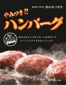 やみつきハンバーグ（3個入）◇ 合挽肉 国産 真空包装 冷凍 那須町 〔P-57〕