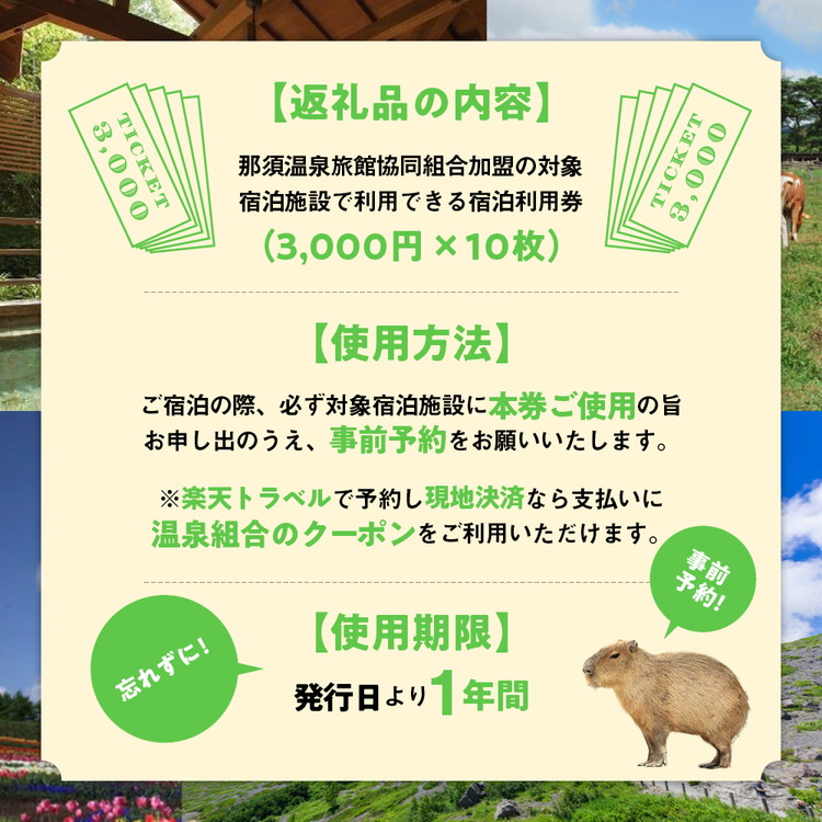 10月から利用上限変更】那須温泉旅館協同組合 ご宿泊利用券 30,000円分（3,000円×10枚）〔G-16〕｜宿泊 旅行 チケット 宿泊券 温泉  露天風呂 旅行券 ホテル 観光 国内旅行 那須 栃木県 那須町 | 栃木県那須町 | JRE MALLふるさと納税