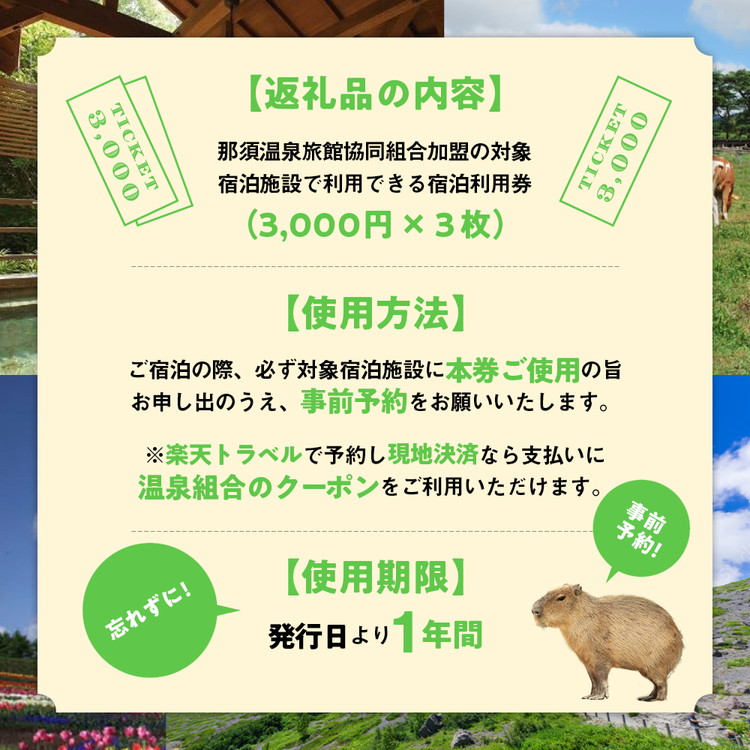 那須温泉旅館協同組合 ご宿泊利用券 9,000円分（3,000円×3枚）〔D-9〕｜宿泊 旅行 チケット 宿泊券 温泉 露天風呂 旅行券 ホテル 観光  国内旅行 那須 栃木県 那須町 | 栃木県那須町 | JRE MALLふるさと納税