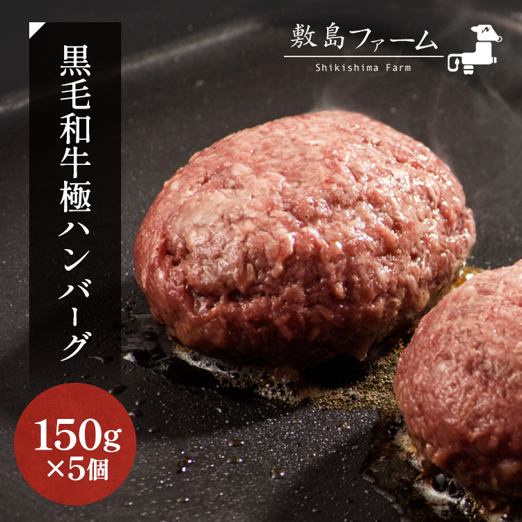 那須高原 敷島和牛手作りハンバーグ(150g×5個)計750g 小分け ハンバーグ 肉 お肉 牛肉 国産 黒毛和牛 冷凍 栃木県 那須町[敷島ファーム]〔B-82〕[br]※着日指定不可[br]※北海道・沖縄・離島への配送不可