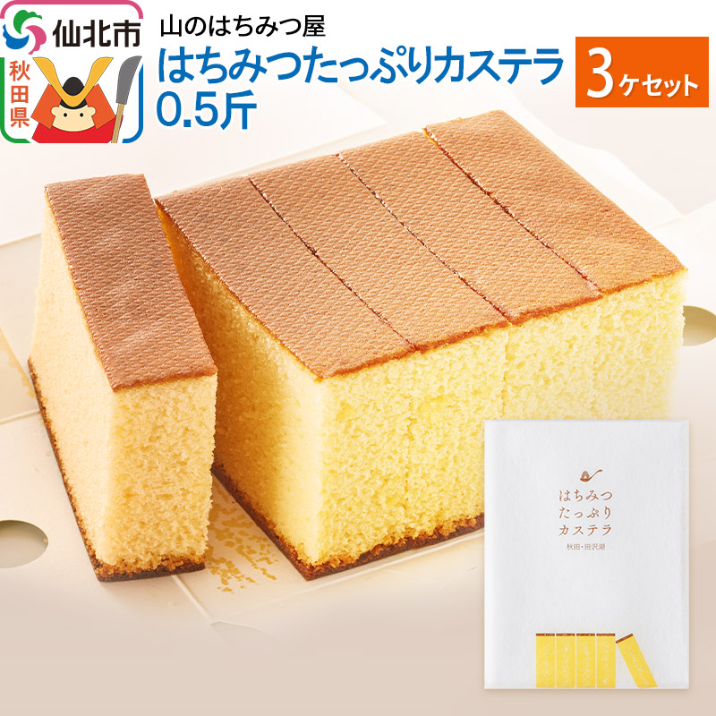 はちみつたっぷりカステラ 0.5斤 3個 セット 山のはちみつ屋