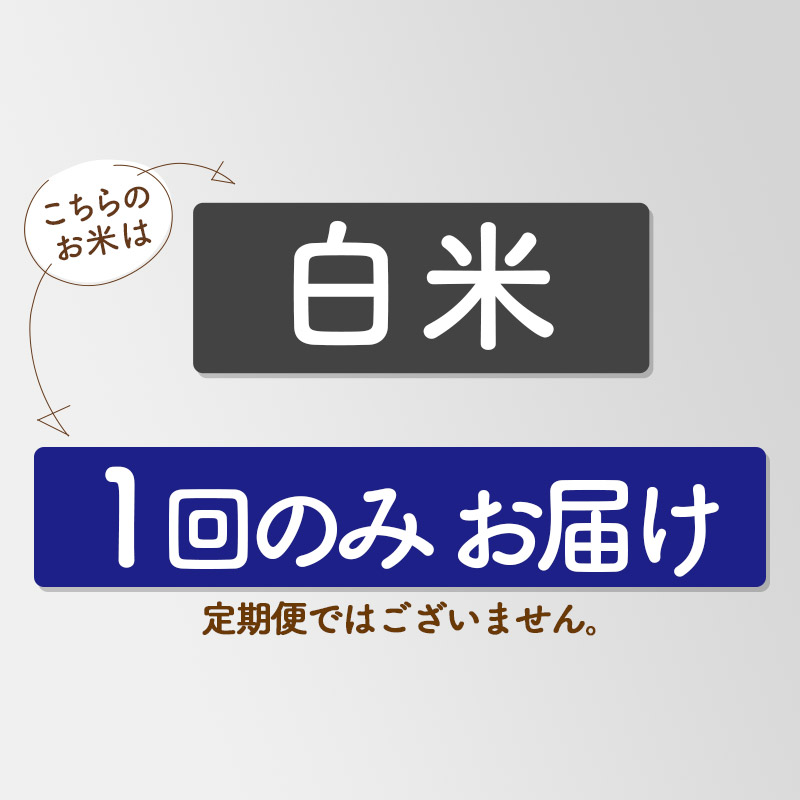 白米】＜令和6年産 新米予約＞ 秋田県産 あきたこまち 10kg (5kg×2袋 