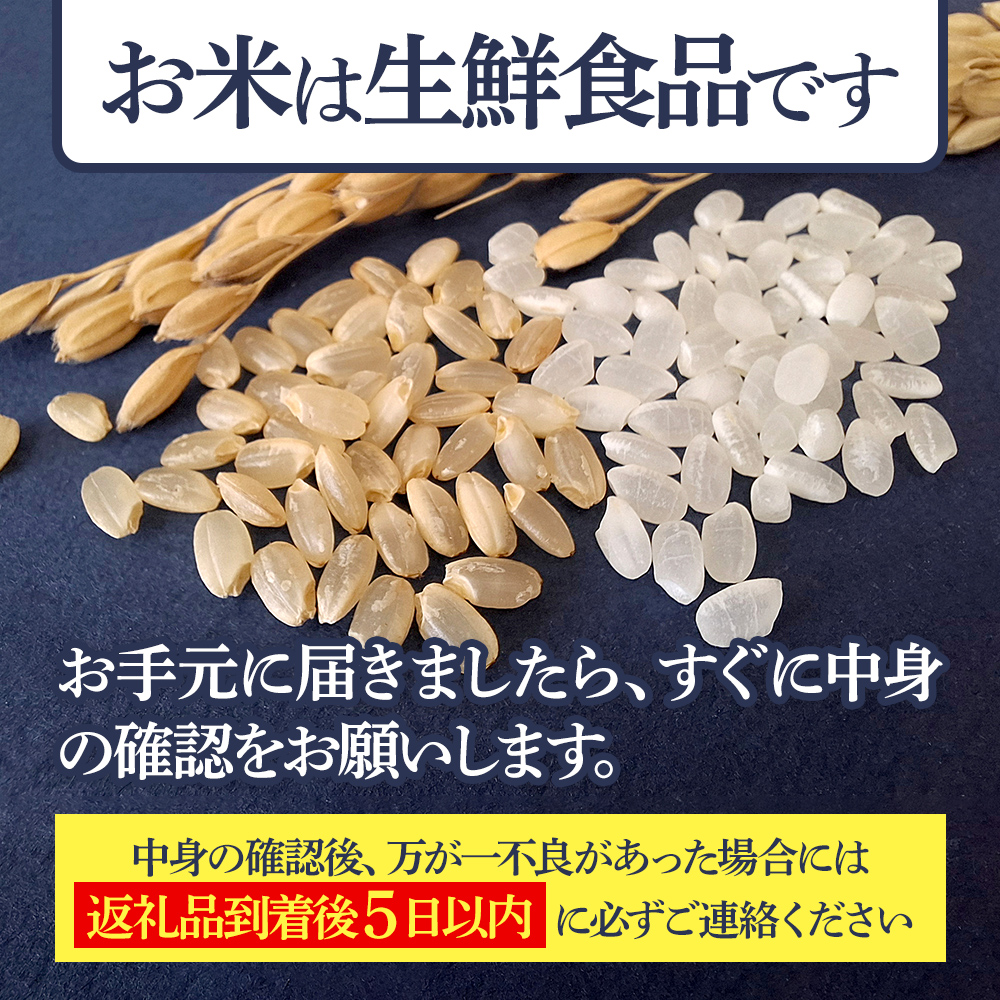 白米】＜令和7年産 新米予約＞ 秋田県産 あきたこまち 10kg (5kg