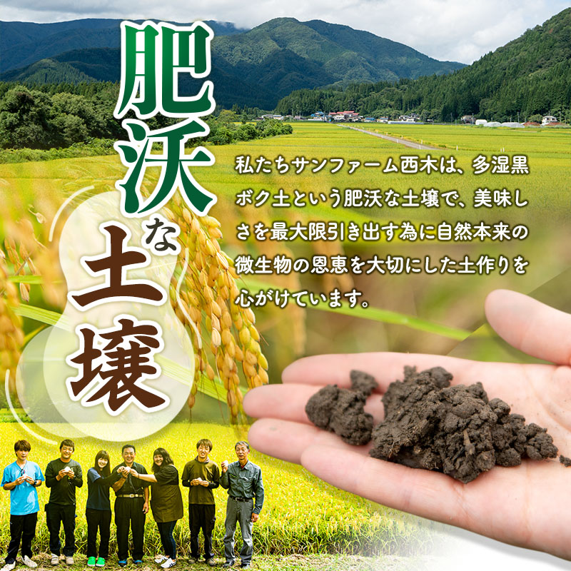 白米】＜令和7年産 新米予約＞ 秋田県産 あきたこまち 10kg (5kg