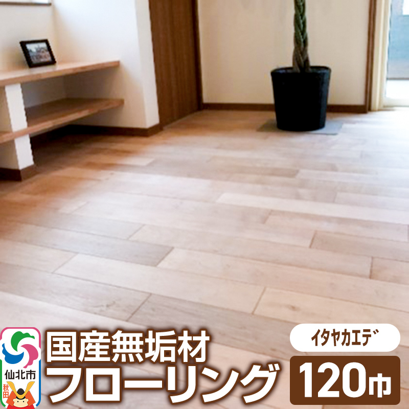 国産 無垢 フローリング 120巾 素材：板谷楓（イタヤカエデ）