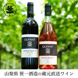 1001-098 【蔵元直送】笹一酒造のOLIFANT(オリファン)ワイン＜赤・ロゼ＞飲み比べ2本セット