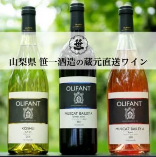 1001-100 【蔵元直送】笹一酒造のOLIFANT(オリファン)ワイン＜赤・白・ロゼ＞3本セット