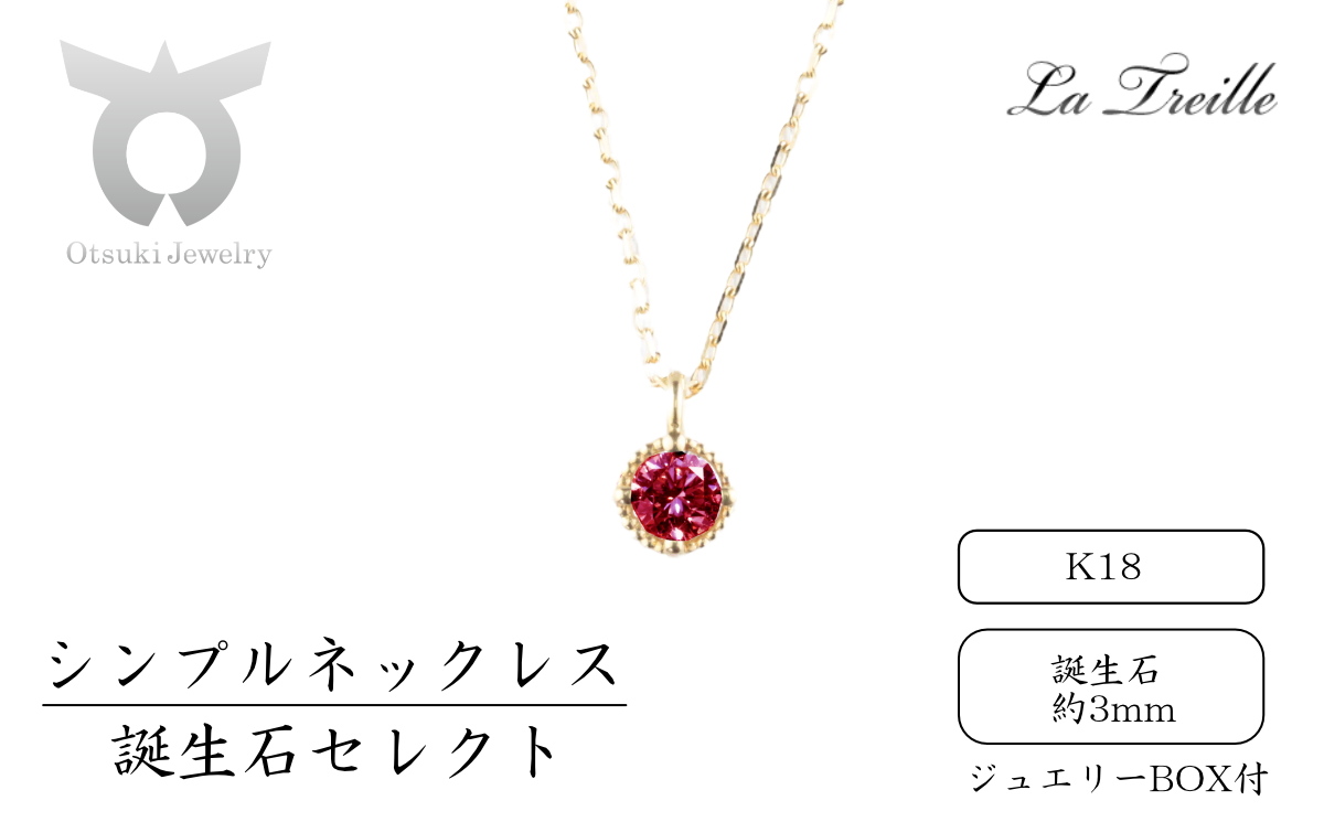 1081-017 シンプルネックレス　Ｋ18（誕生石）