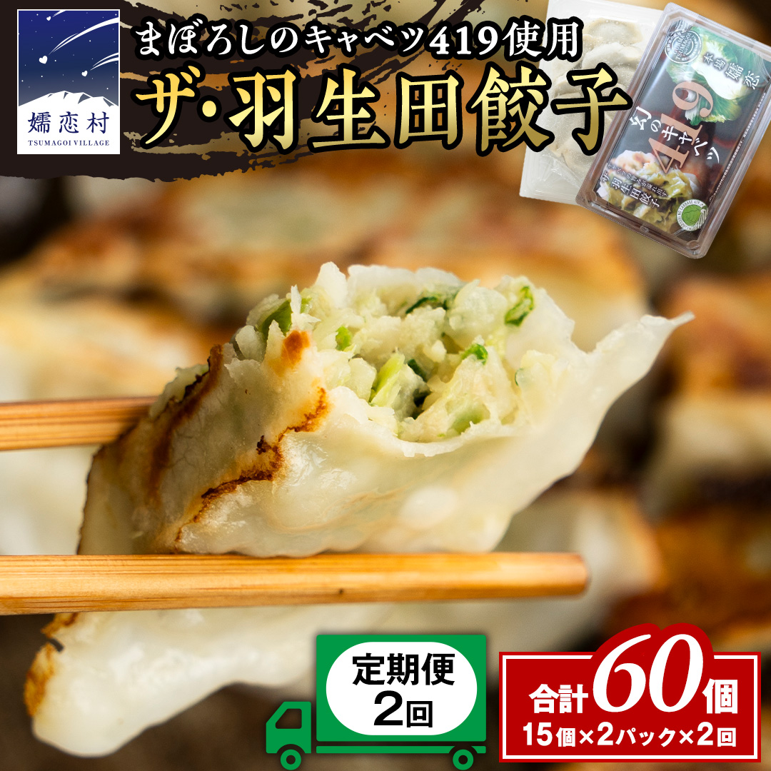 【 定期便 隔月2回 】 まぼろしのキャベツ419使用 ザ・羽生田餃子 15個 × 2パック 計30個 × 2回 ( 合計 60個 ) ぎょうざ 豚肉 ギョウザ 小分け キャベツ 419 特産品 人気 冷凍 中華 中華惣菜 惣菜 大容量 2回 [AL017tu]
