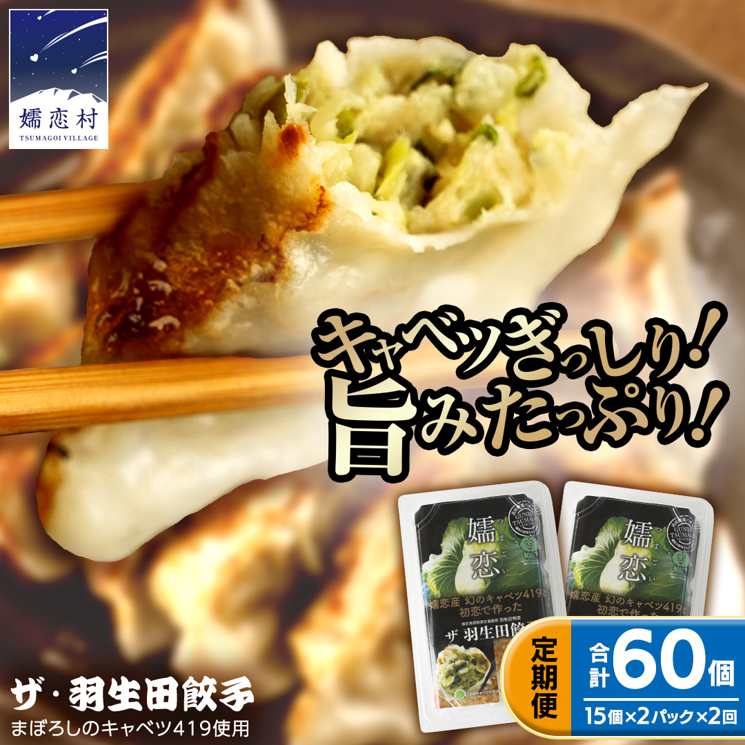 【 定期便 隔月2回 】 まぼろしのキャベツ419使用 ザ・羽生田餃子 15個 × 2パック 計30個 × 2回 ( 合計 60個 ) ぎょうざ 豚肉 ギョウザ 小分け キャベツ 419 特産品 人気 冷凍 中華 中華惣菜 惣菜 大容量 2回 [AL017tu]