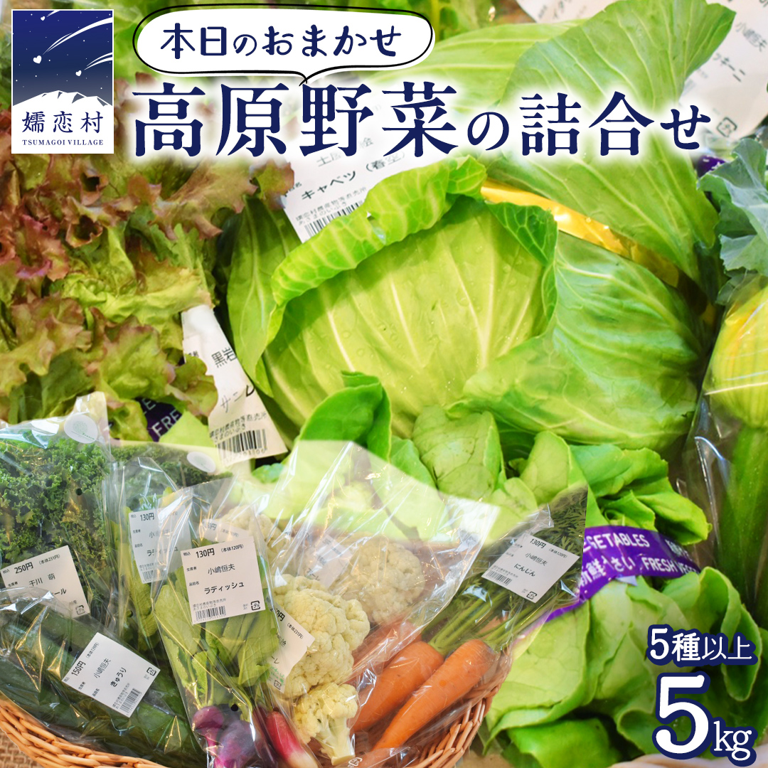 本日のおまかせ 高原野菜 の 詰合せ 5kg 5種以上 おまかせ 野菜 野菜セット 旬 5kg 産地直送 嬬恋 旬の野菜 [AF027tu]