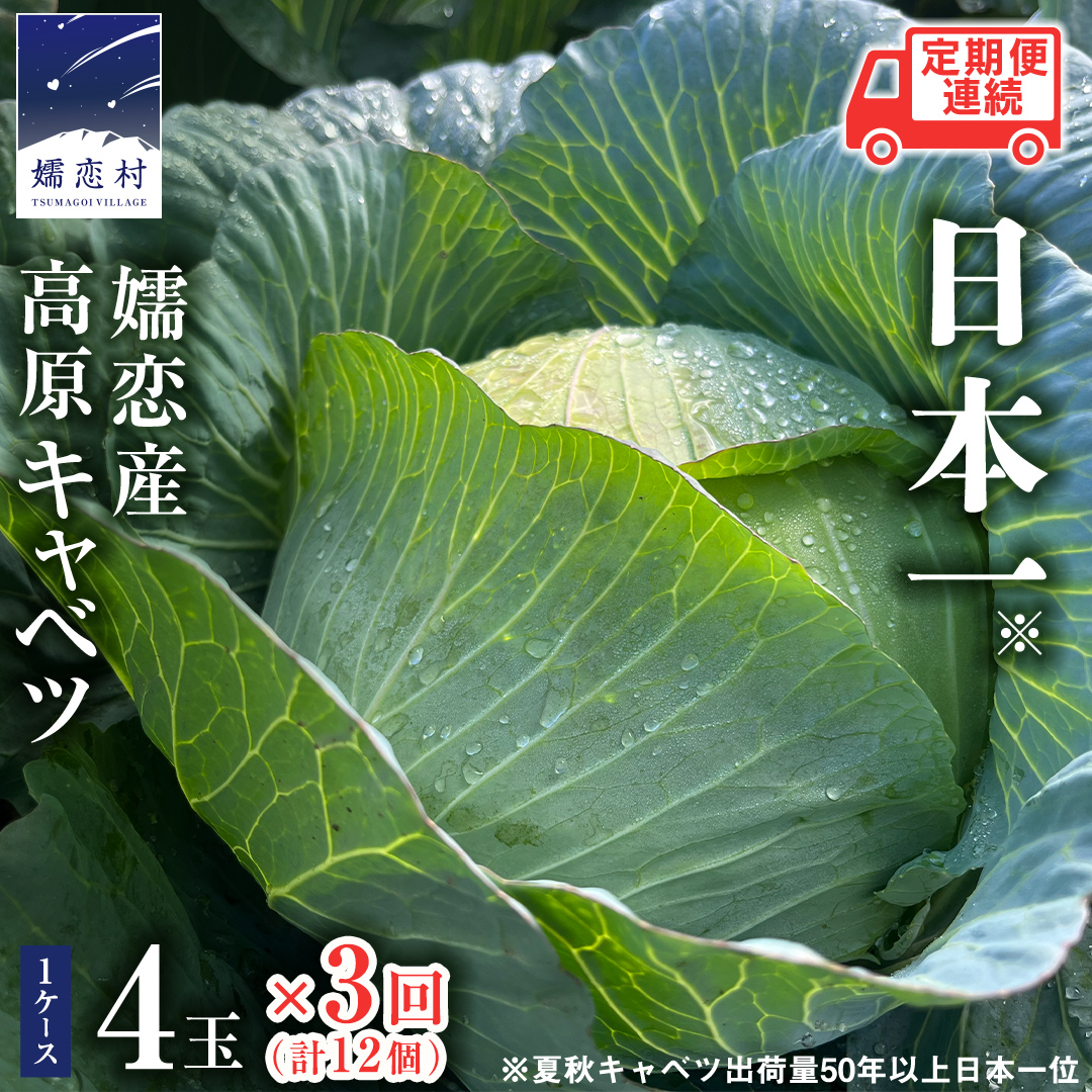 嬬恋キャベツ 定期便 嬬恋産 高原 キャベツ 4玉 1ケース  3ヶ月連続 旬の野菜 きゃべつ 産地直送 群馬 お取り寄せ 野菜 セット Lサイズ ZIP! [AS004tu]