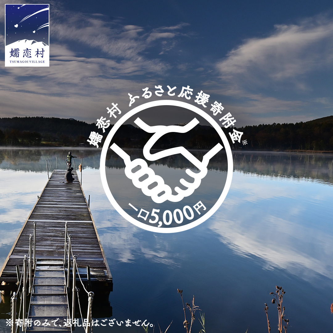 【返礼品なし】群馬県 嬬恋村 ふるさと応援寄附金 5000円 寄附のみの応援 寄附のみ 返礼品なし 返礼品無し [AO016tu]