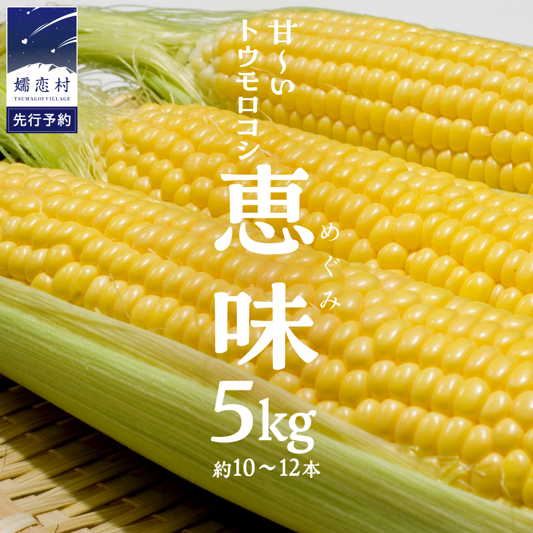 [ 2025年 8月上旬 発送開始 ] 上旬 甘〜いトウモロコシ 恵味 5kg 約10〜12本 先行受付 とうもろこし 産地直送 羽生田売店 期間限定 先行予約 人気 朝採り お取り寄せ 関東 群馬 [AL005tu]