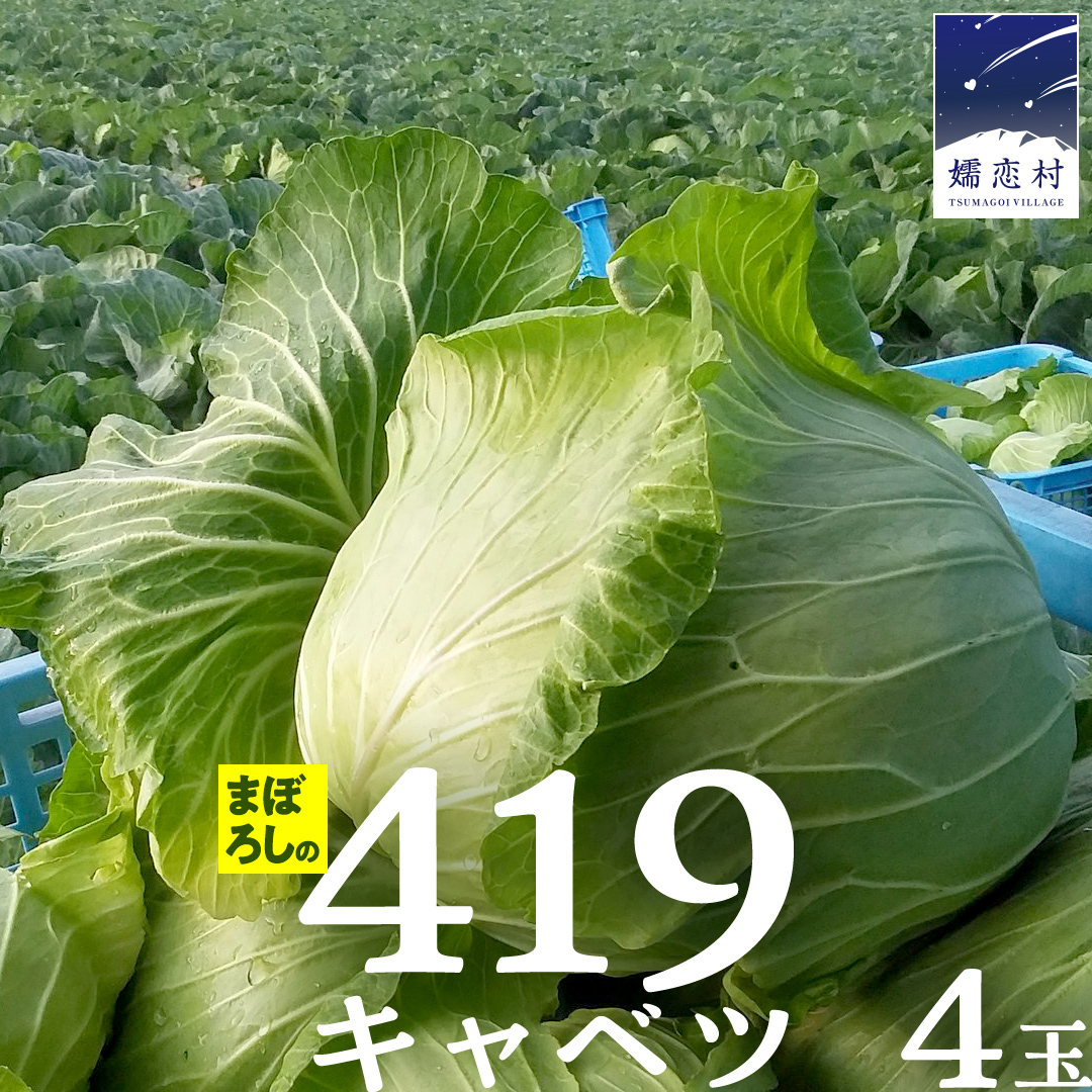 まぼろしの419キャベツ 4玉 きゃべつ 嬬恋村産キャベツ 羽生田売店 幻のキャベツ419 産地直送 期間限定 人気 朝採り 通販 お取り寄せ 関東 群馬 出荷時期限定 ZIP! [AL006tu]