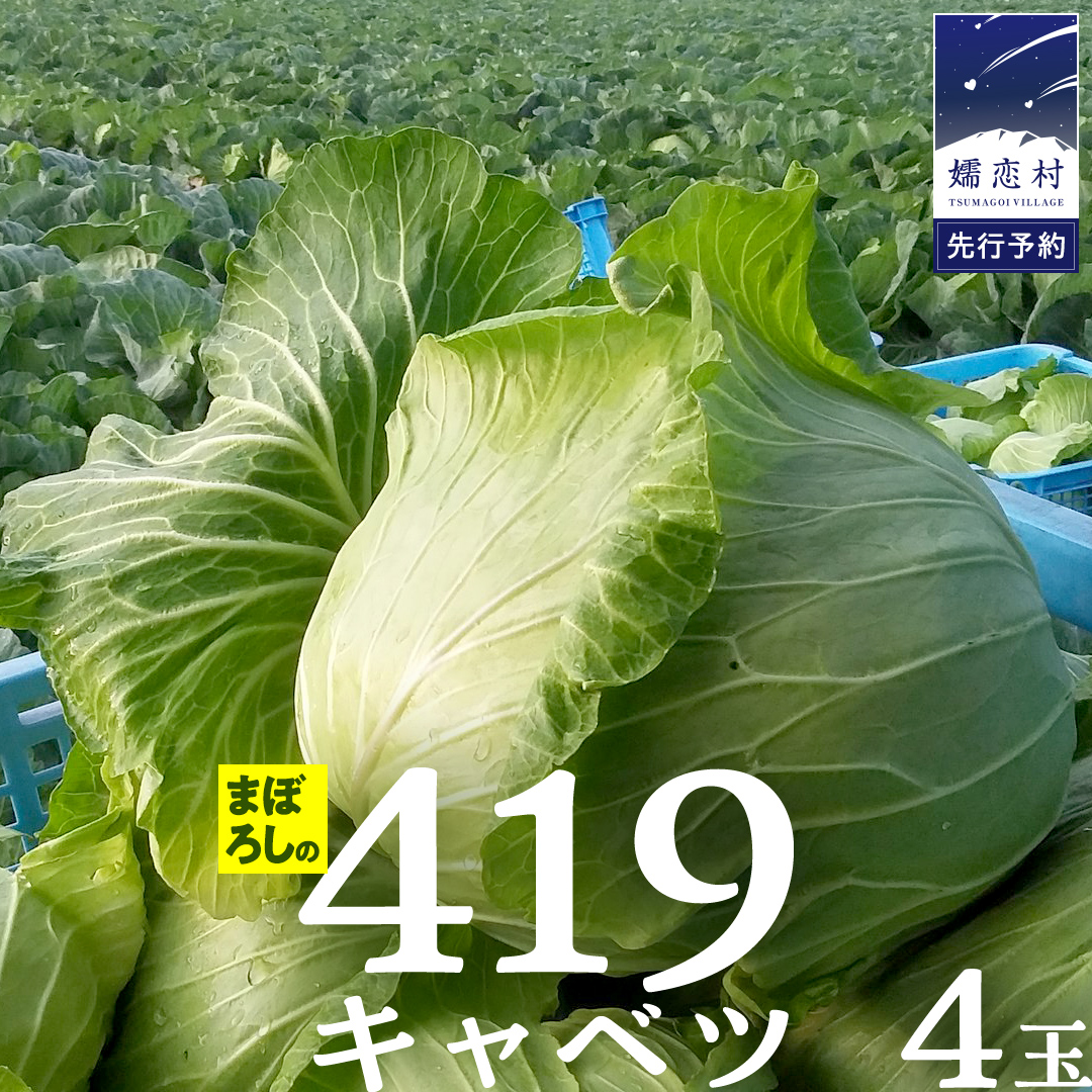 [ 2025年 7月中旬 発送開始 ] まぼろしの419キャベツ 4玉 先行受付 きゃべつ 嬬恋村産キャベツ 羽生田売店 幻のキャベツ419 産地直送 期間限定 先行予約 人気 朝採り 通販 お取り寄せ 関東 群馬 出荷時期限定 ZIP! [AL006tu]