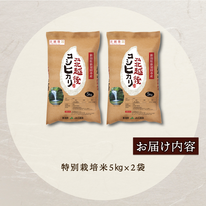 令和5年産 JA北新潟 コシヒカリ 5kg×2袋 特別栽培米 【 新潟県産 新発田産 米 コシヒカリ JA北新潟 特別栽培米 5kg 2袋 10kg  】 D04 | 新潟県新発田市 | JRE MALLふるさと納税