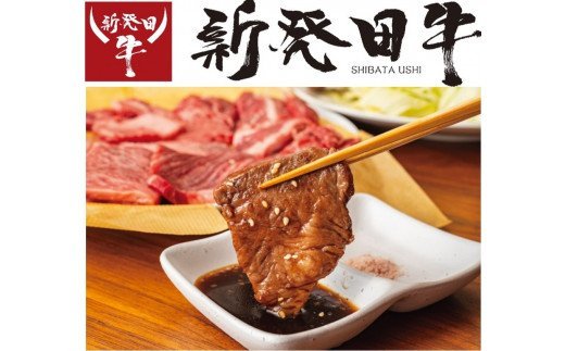 先崎畜産 新発田牛ロｰス(焼肉用)500g H10_01