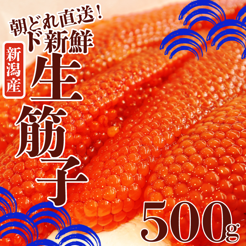 令和6年産 生筋子 500g いくら 鮭 生いくら 海鮮 鮮魚 朝どれ 朝採れ とれたて 国産 新潟県産 お正月 おせち 年末 年始 贈答 予約 はらこ 筋子