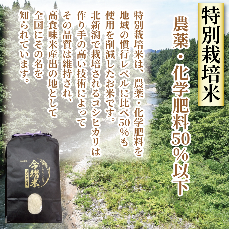 令和5年産特別栽培米　新潟コシヒカリ30kg（10k×3）精米無料★農家直送28 令和5年産 JA北新潟 コシヒカリ 5kg×2袋 特別栽培米 【 新潟県産