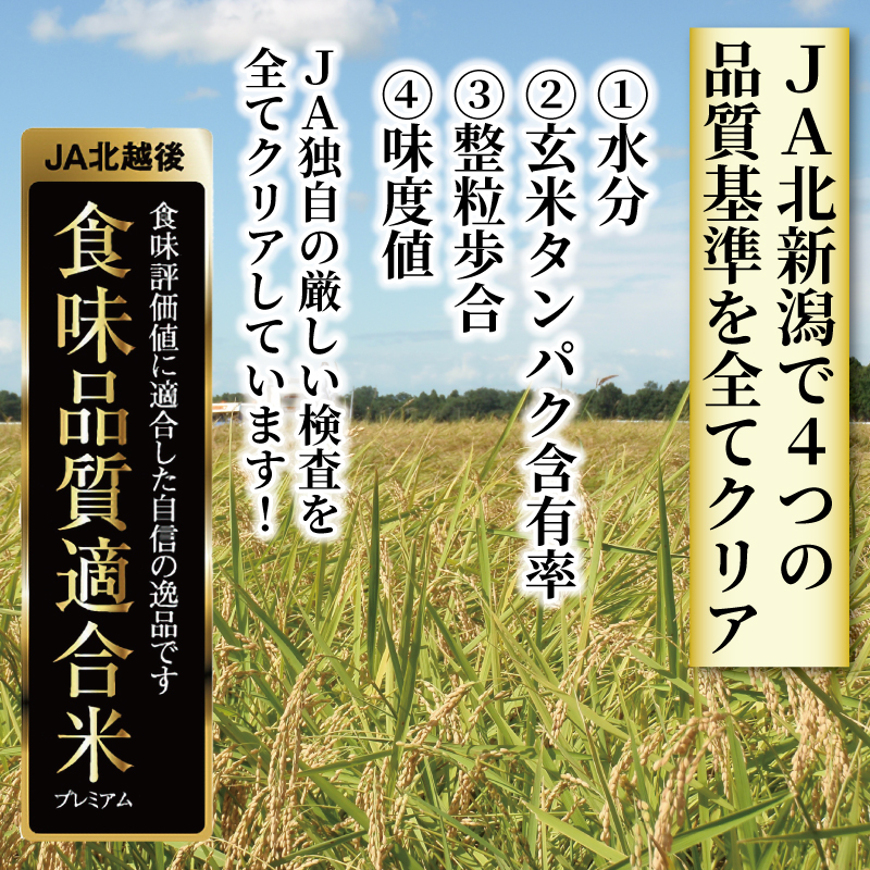 令和5年産 JA北新潟 特別栽培米コシヒカリ 5kg×2袋 今摺米