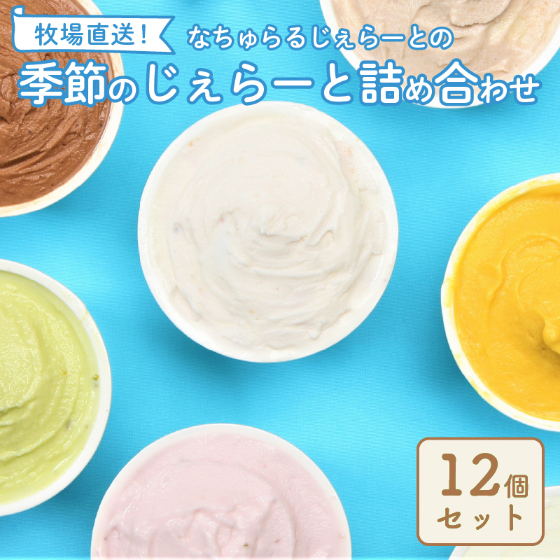 ジェラート 12個セット 【 ミルク チョコ ブルーベリー チーズ お茶 緑茶 紅茶 ほうじ茶 ラム レーズン ピスタチオ 塩 キャラメル アイス ジェラート セット 季節 お茶 冨士美園 てづくり なちゅらるじぇらーと なかの牧場 12個 】 F02