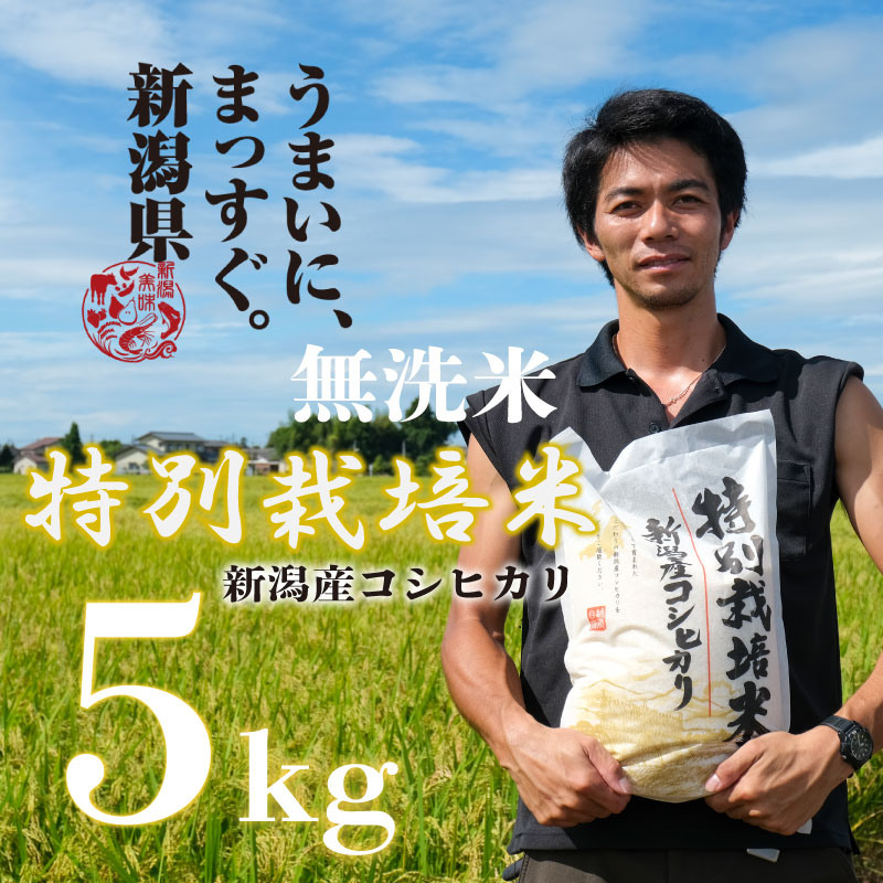 [令和6年産]新潟産コシヒカリ 5kg 無洗米 特別栽培米 新発田産 新潟県 新発田市 米 新米 コシヒカリ 斗伸 5kg 新潟県産 新潟県産コシヒカリ コメ お米 米 こめ しんまい 新潟産 新潟米 新発田産 新潟県 新発田 toushin001