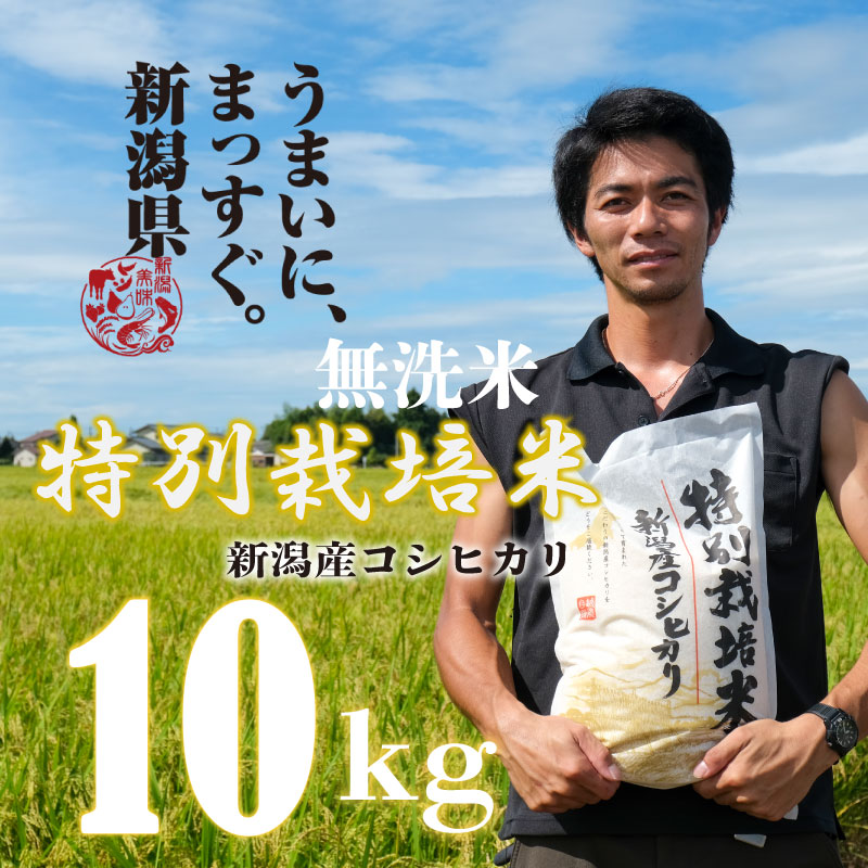 [令和6年産]無洗米 コシヒカリ 10kg 5kg 2袋 新潟産 特別栽培米 こしひかり 斗伸 新潟県 コメ お米 米 こめ しんまい 新潟米 新潟 新発田 toushin011