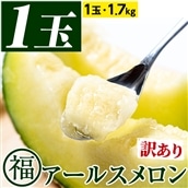 【0111109a】＜訳あり＞マル福の高級アールスメロン(1玉・1.7kg)メロン フルーツ 果物 果実 1キロ 数量限定 期間限定【マル福園芸組合】